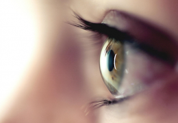 eye
