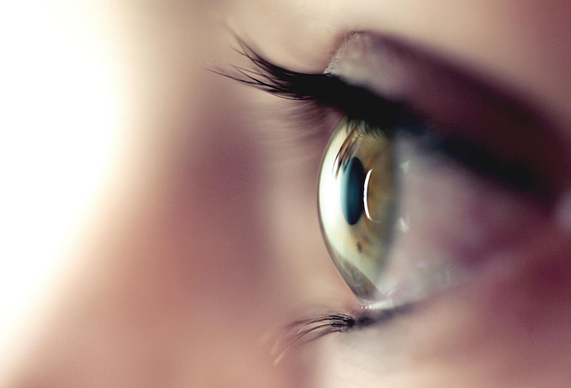 eye